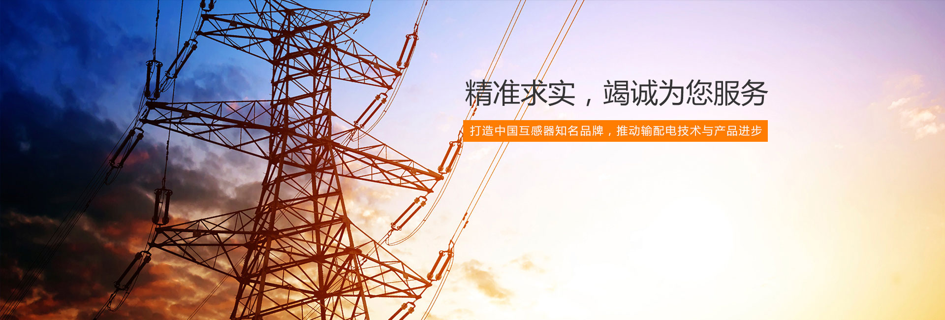 #slidecaption2 電壓互感器